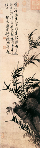 姚绶